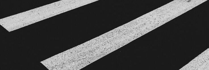 ʕ•ﻌ•ʔ banner