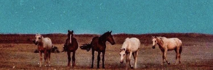 casejane_'s profile banner image
