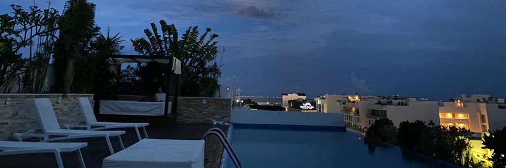 FreedomPapers banner