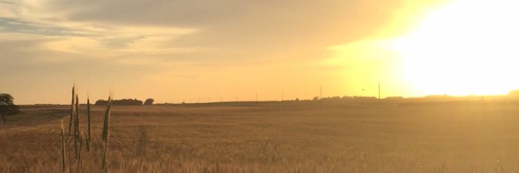 JacobKeltner's profile banner image