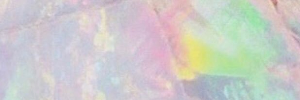 anniewildgen's profile banner image