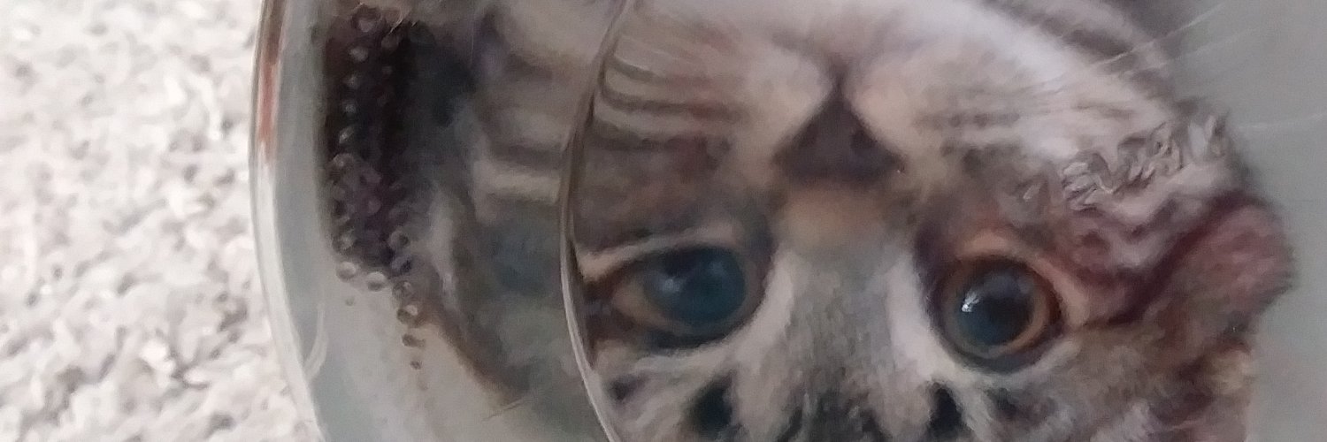 putridities's profile banner image