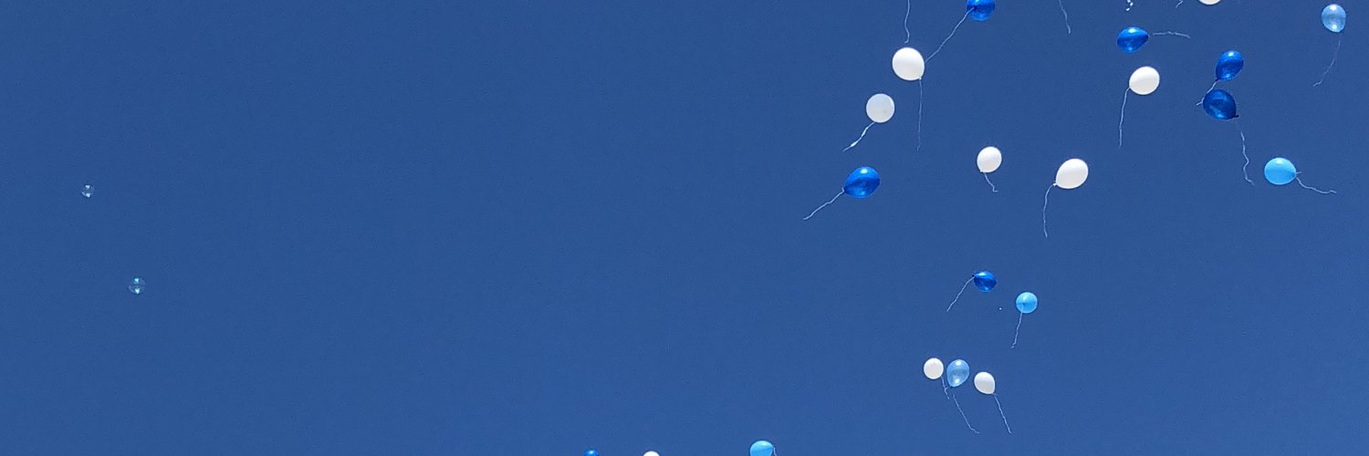 pom2e's profile banner image