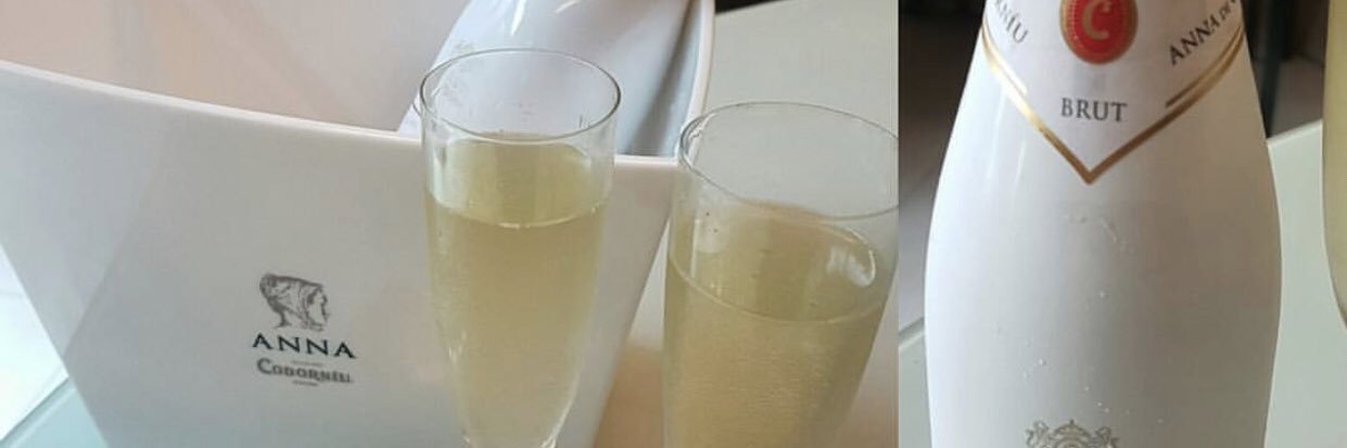 AnnaCodorniu_NG's profile banner image