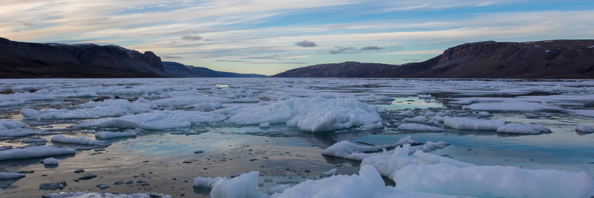 Eric Ste Marie 🦈🏳️‍🌈 banner