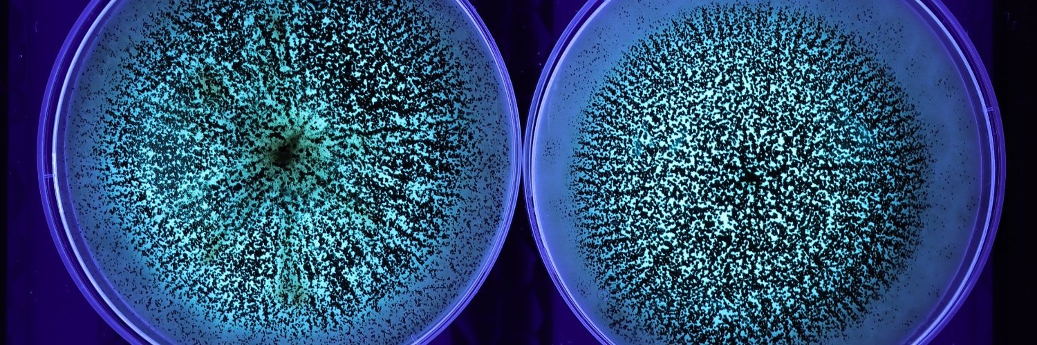 Claudia López Rodríguez 🇪🇸 banner