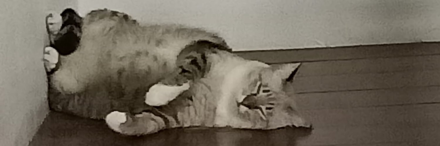 🖤ด้วยรักจากน้องติ่ง🤍 banner