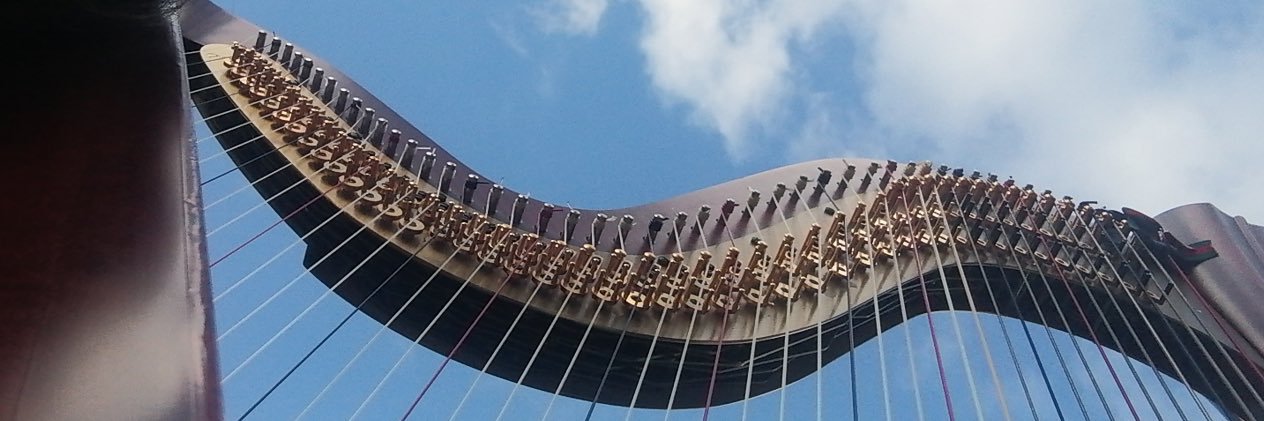 harpsae's profile banner image