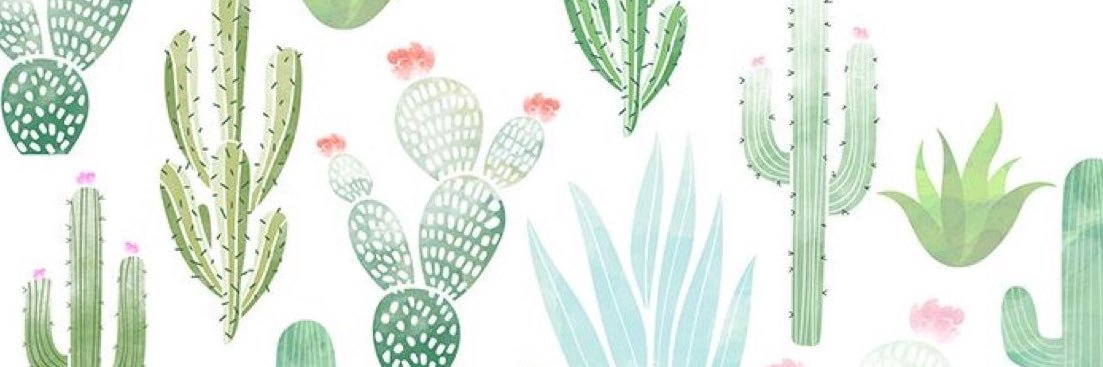 haleyyycox's profile banner image