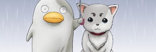 saikania's profile banner image