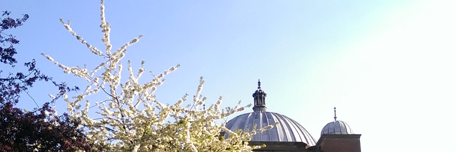 Birmingham Psychology Autism Research Team banner