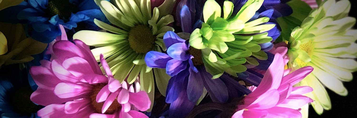 jtaysma's profile banner image