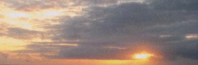 mcq_maggie's profile banner image