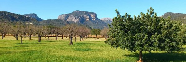 Joan_CP_ Profile Banner