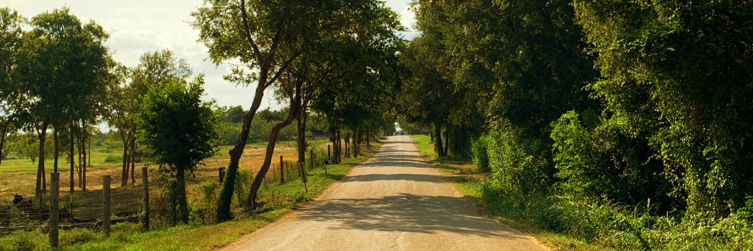 Stephen Plodinec banner