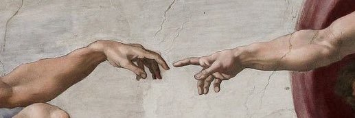 brandon ❄️ banner