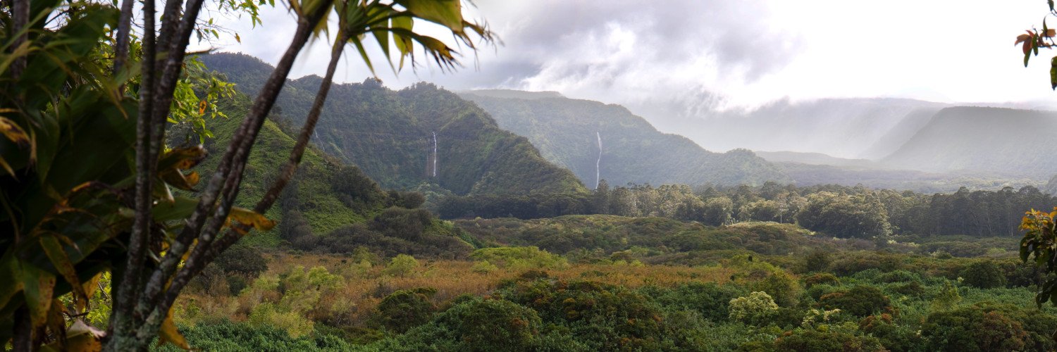 Association Ishpingo banner