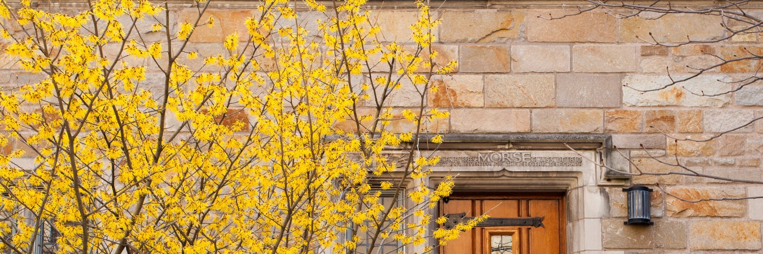 Sara Sánchez Alonso, PhD banner