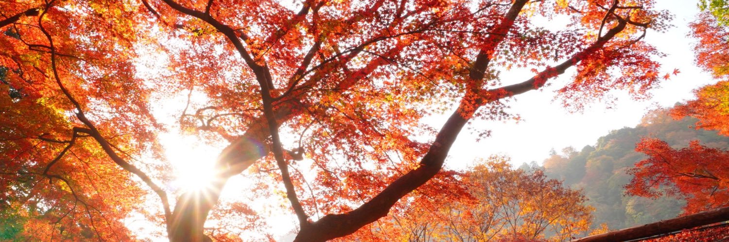 simukasu's profile banner image