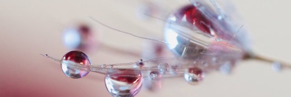 ifJw6xkFOtwG4FC Profile Banner