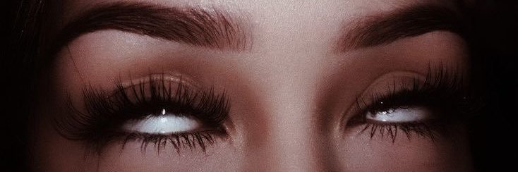 ST£RLING CISCA ™ 🐆 banner