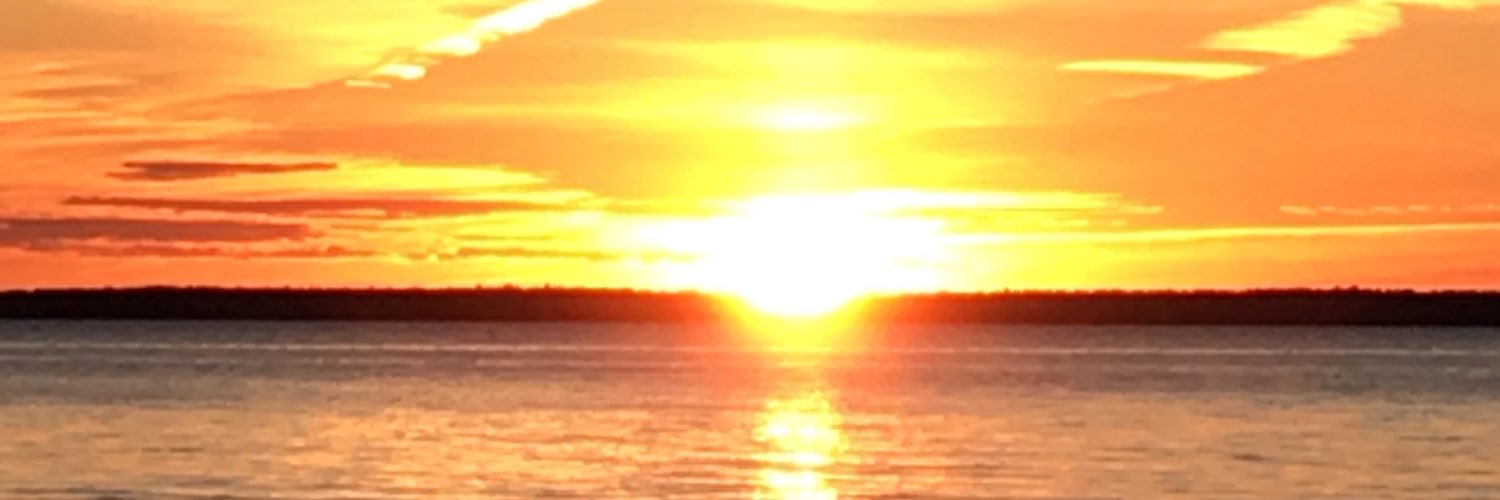 fydledd's profile banner image