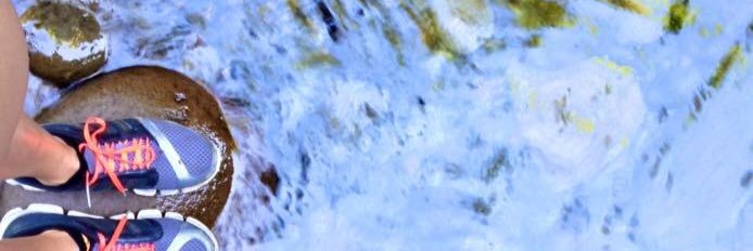 SarahGriffinPDX's profile banner image