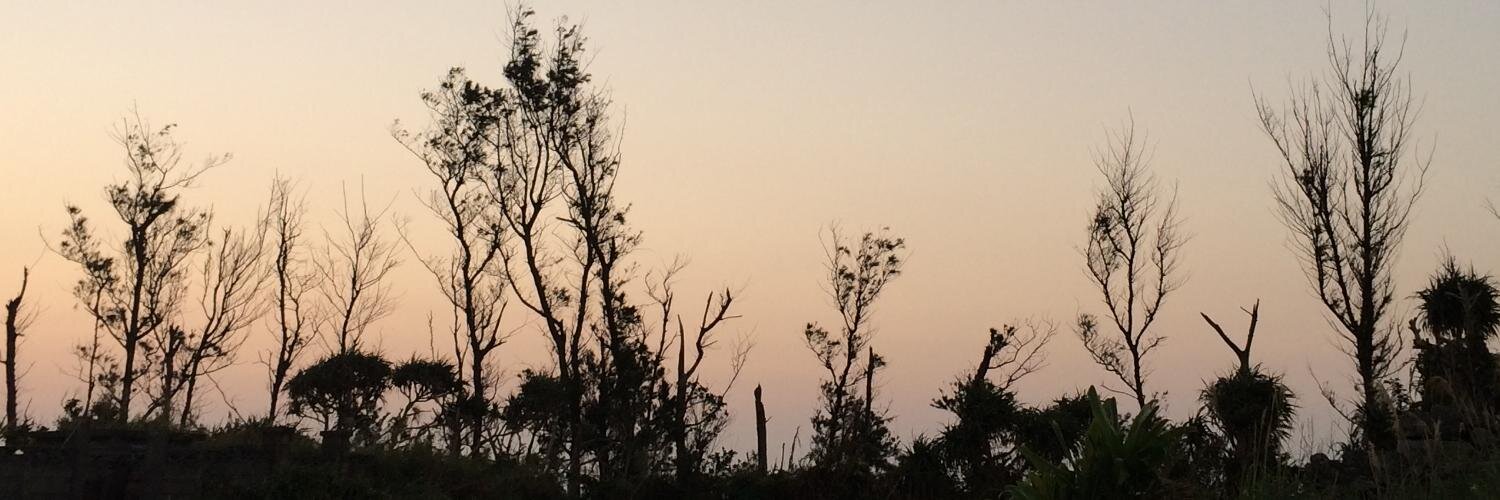 nontaw's profile banner image