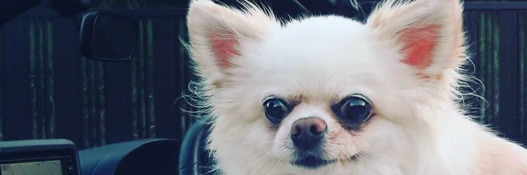 kote2p's profile banner image