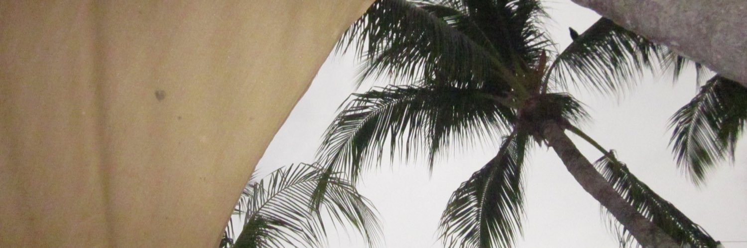 eileenlarissa's profile banner image