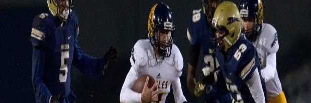 Cal state Los Angeles banner