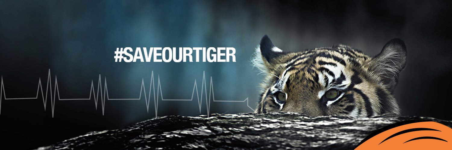Save Our Tigers banner