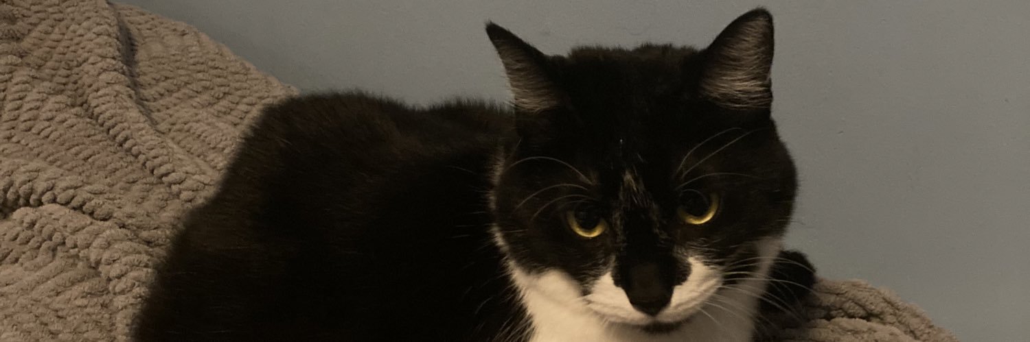 bigdoggenergy's profile banner image