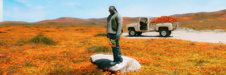 solange stan account's banner