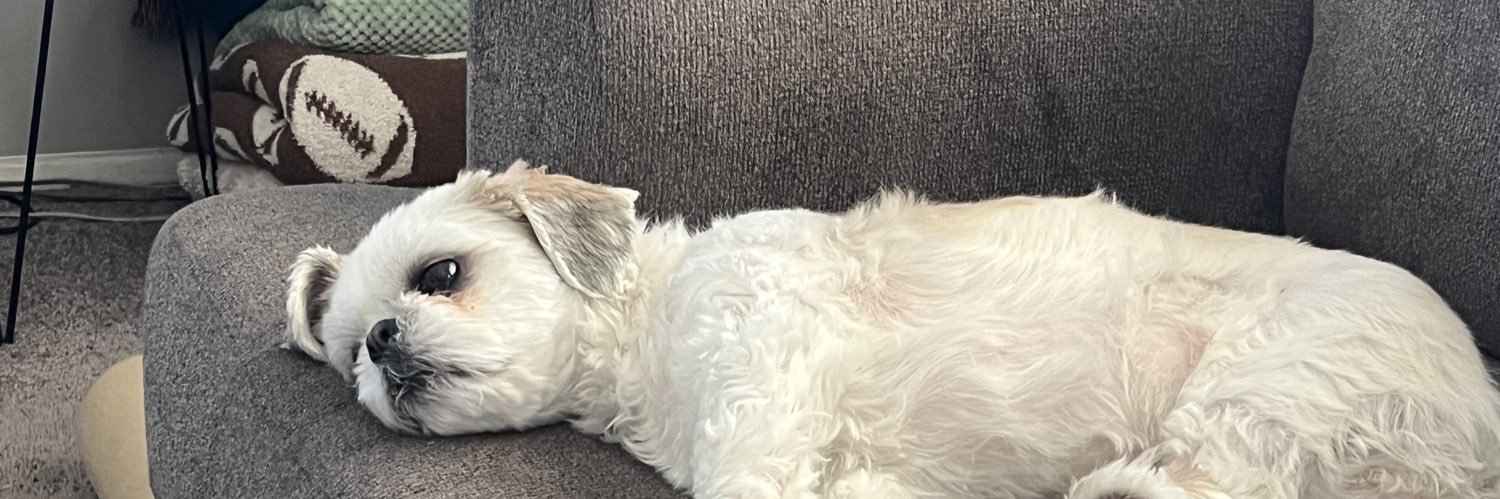 Trail Blazer P banner