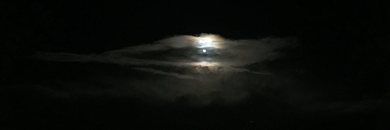 pseudoambient's profile banner image
