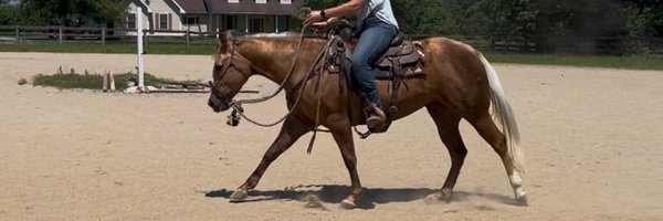 _justdunit Profile Banner