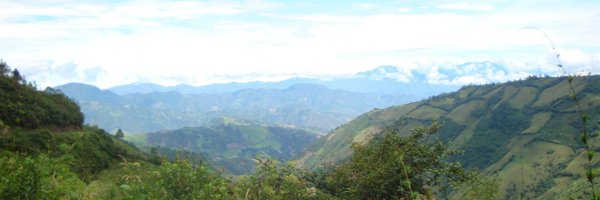 MonikaFrie Profile Banner