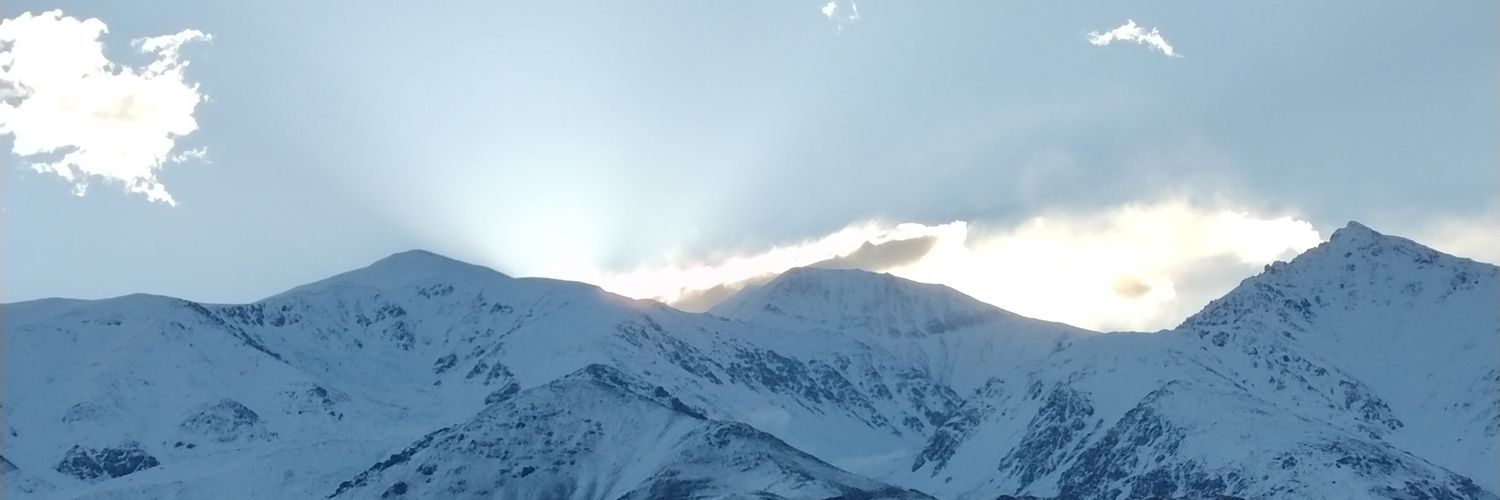 Yulivilches's profile banner image