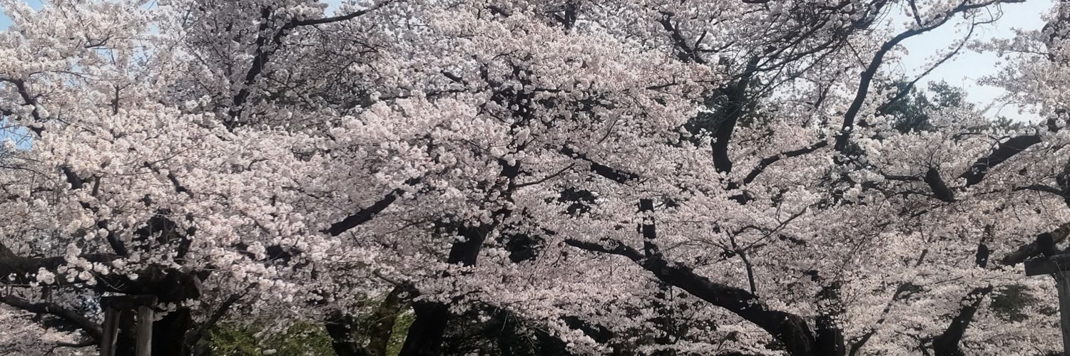 gr2485's profile banner image
