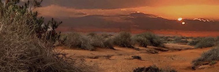 o2887o's profile banner image