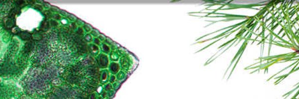 Scandinavian Plant Physiology Society - SPPS Profile Banner