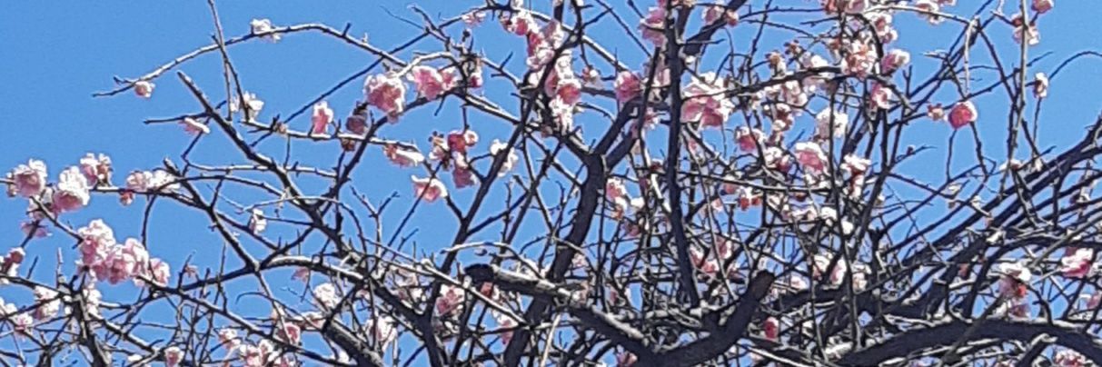 yoko0712's profile banner image