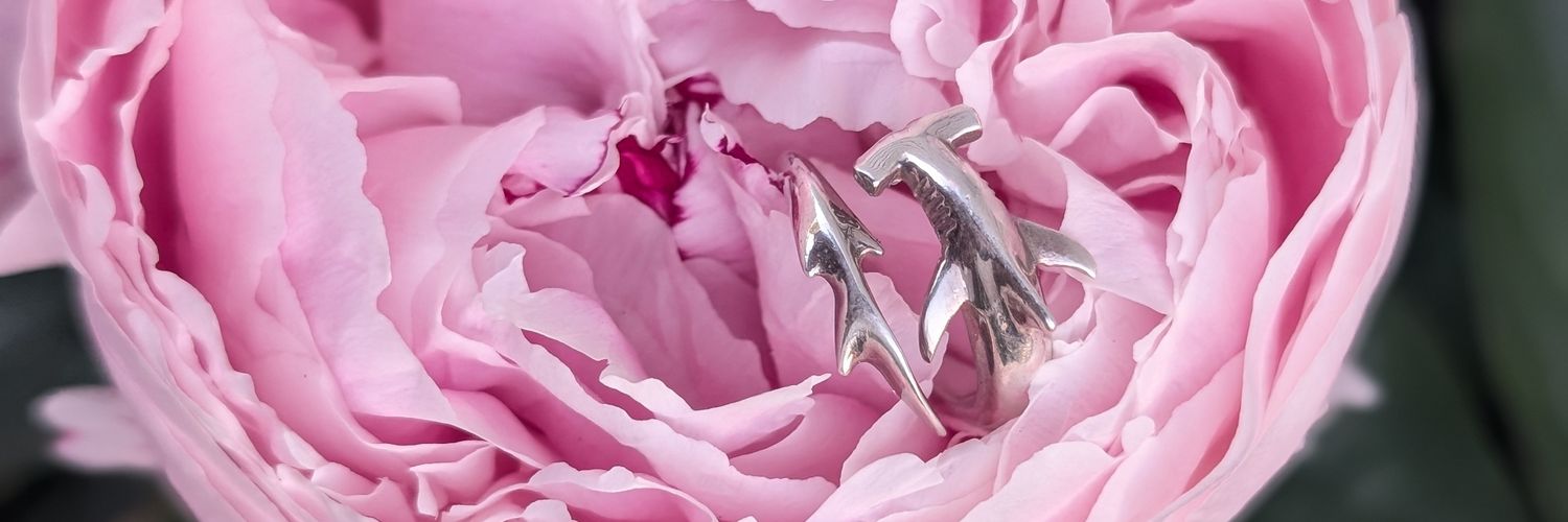 alisaduck's profile banner image