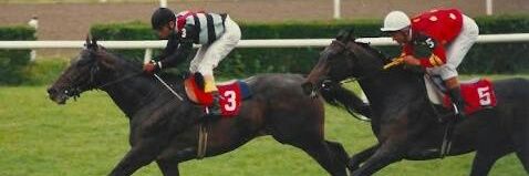 Gökhan Bulama banner