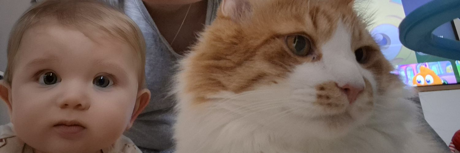 Simcooooo's profile banner image