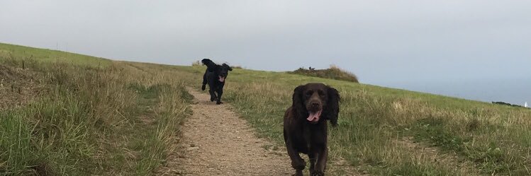 jennamillard's profile banner image
