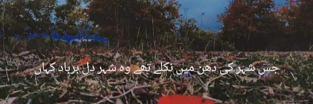 MadihaGhous's profile banner image