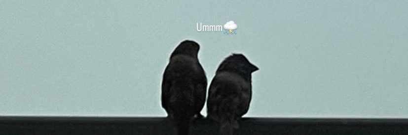 bb_pp88's profile banner image