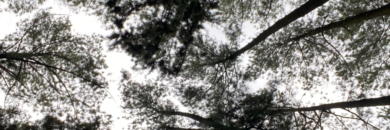 aygooing's profile banner image